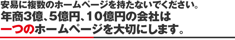 安易に複数のホームページを持たないでください。年商3億、5億円、10億円の会社は一つのホームページを大切にします。