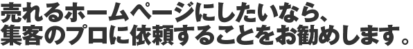 売れるホームページにしたいなら、集客のプロに依頼することをお勧めします。